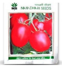 Tomato NS 5002 (1068) (Namdhari)